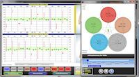 biocheck Pro Software: grafische 5-Elemente-Auswertung TN